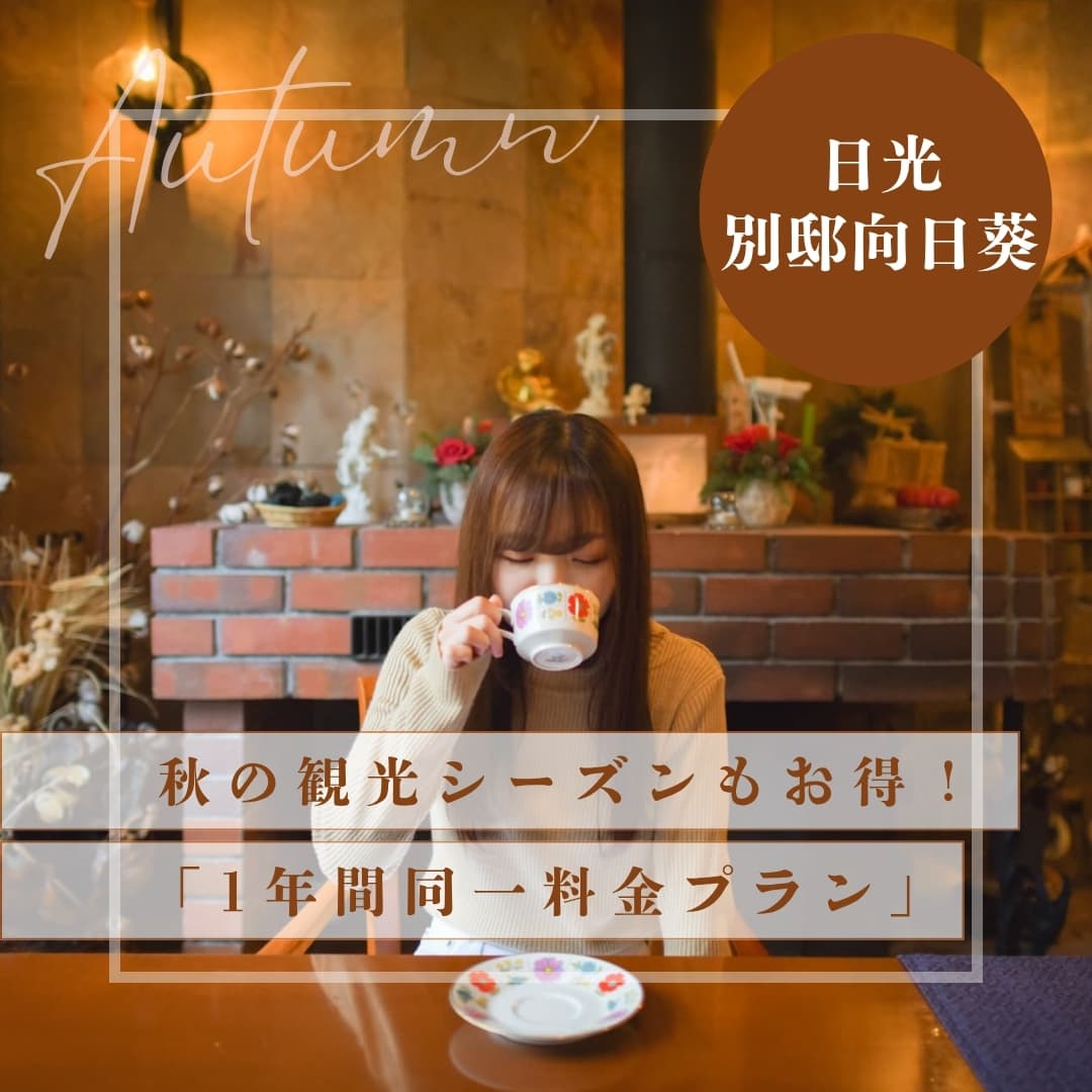 1年間同一料金プラン詳細